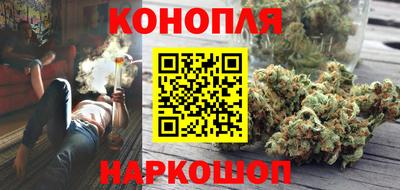 шишки Канаш