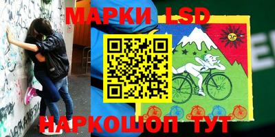 молекула духа Кандалакша