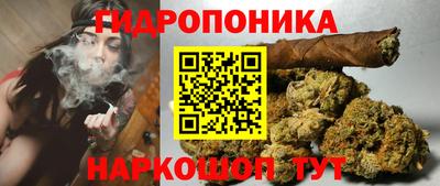 молекула духа Кандалакша
