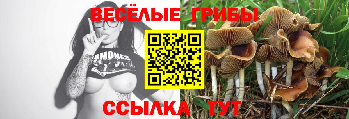 Галлюциногенные грибы ЛСД Волоколамск